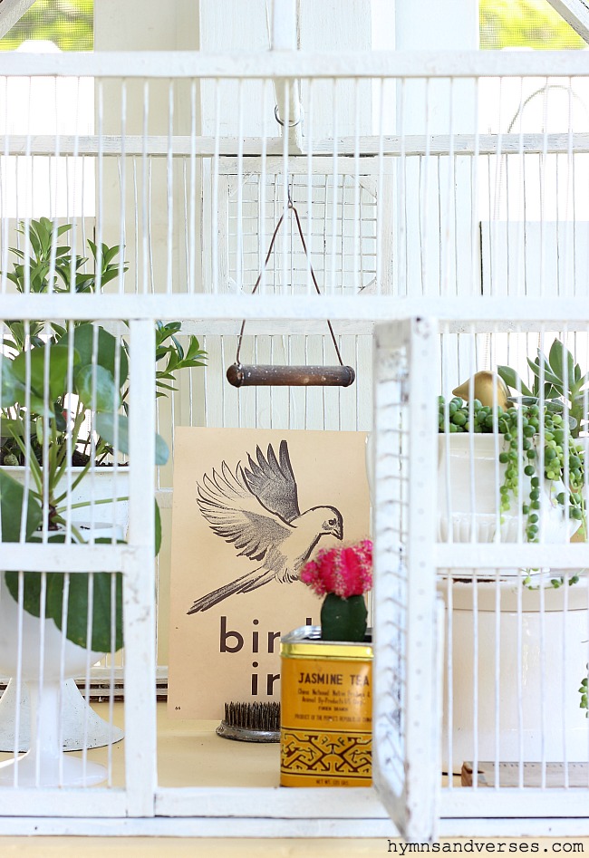 Bird Cage with Plants and Vintage Finds