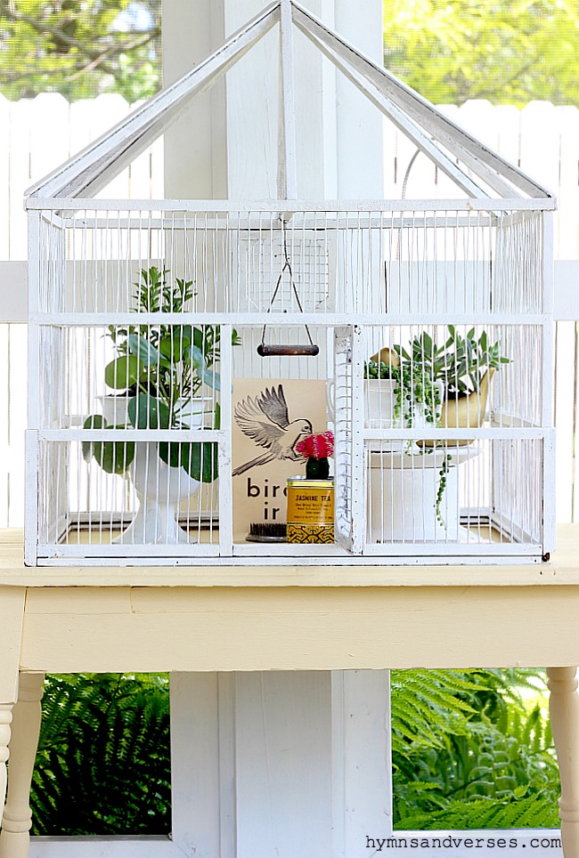 Antique bird shop cages