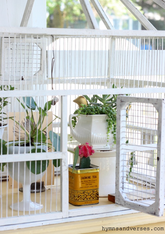 Antique Bird Cage with Plants