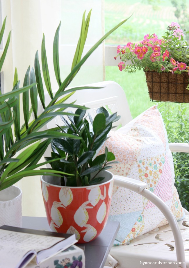 Plants for summer porch decor