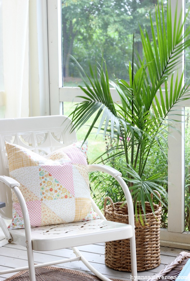 Bamboo Palm on Screen Porch