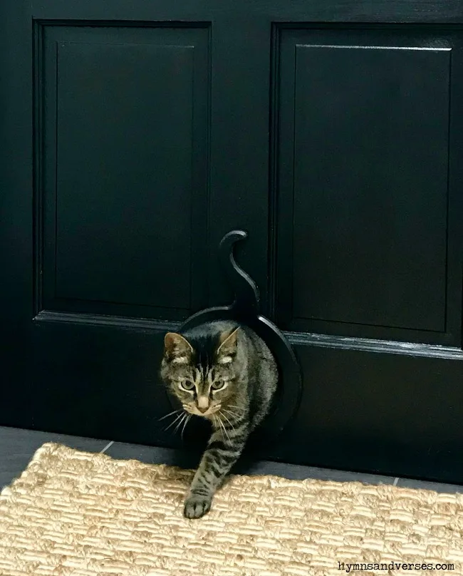 Cat Pass Through Door