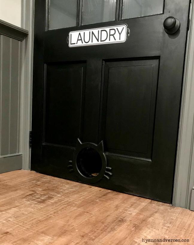 Cat Pass Through in Laundry Room Door