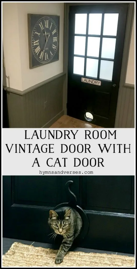 Laundry Room Vintage Door with a Cat Door