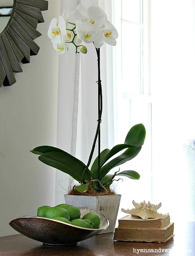 White Orchid and Bowl of Limes