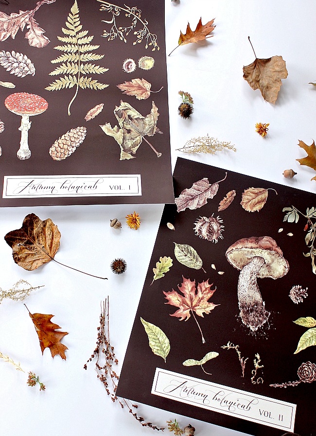 Free Autumn Botanical Prints - Hymns and Verses Blog