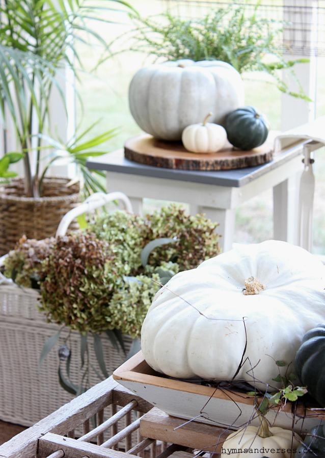 White and green pumpkins and dried hydrangea