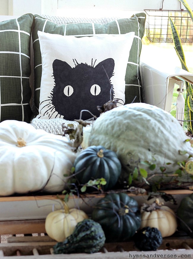 Black Cat Pillow