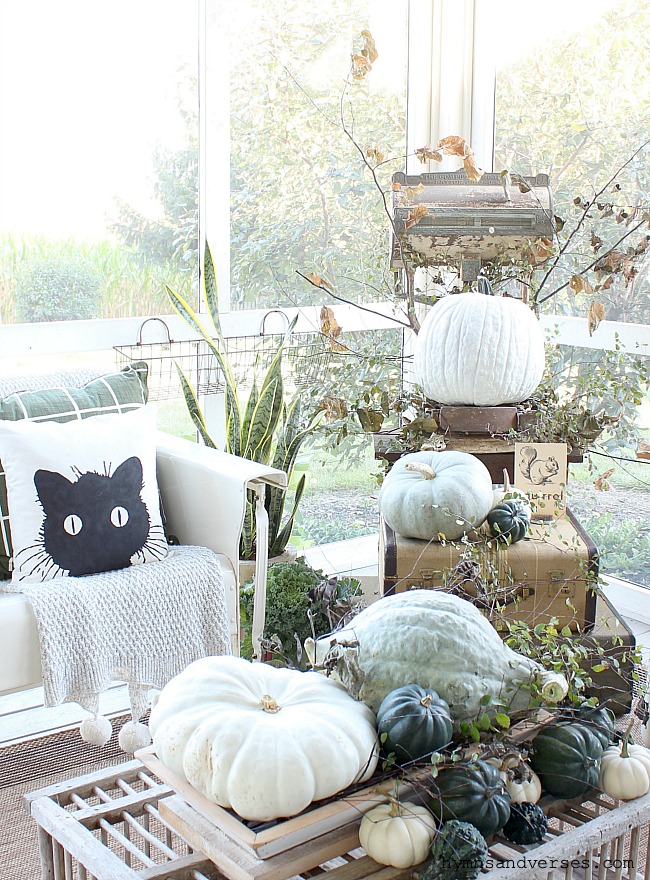 Fall Screen Porch