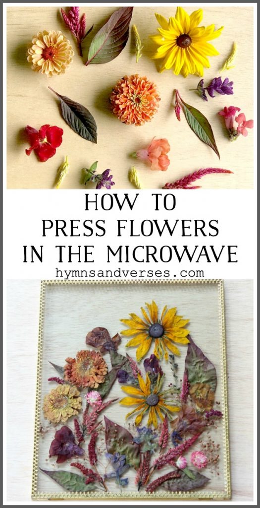 How To Press Flowers With A Microwave