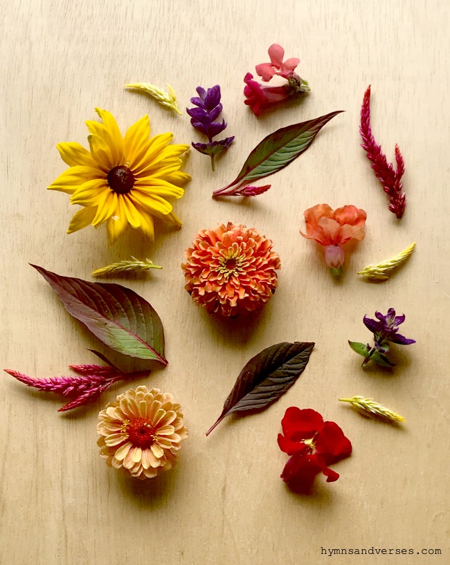 How to Make Pressed Flowers in the Microwave