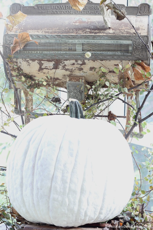 Vintage scale with large white pumpkin for fall