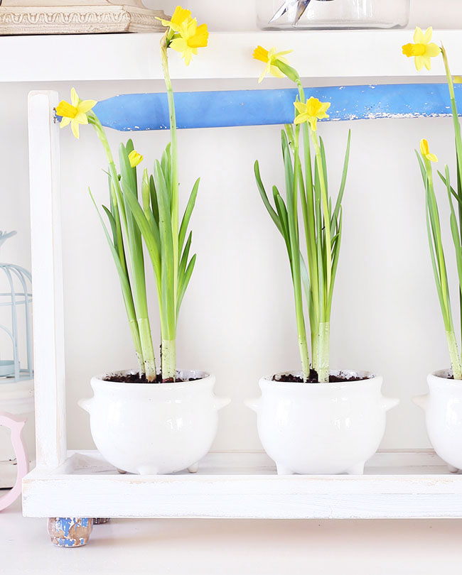 RemodelaCasa | DIY Plant Tray