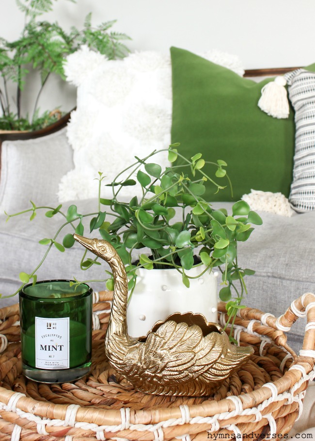 Spring plants and other green decor accents - Hymns and Verses