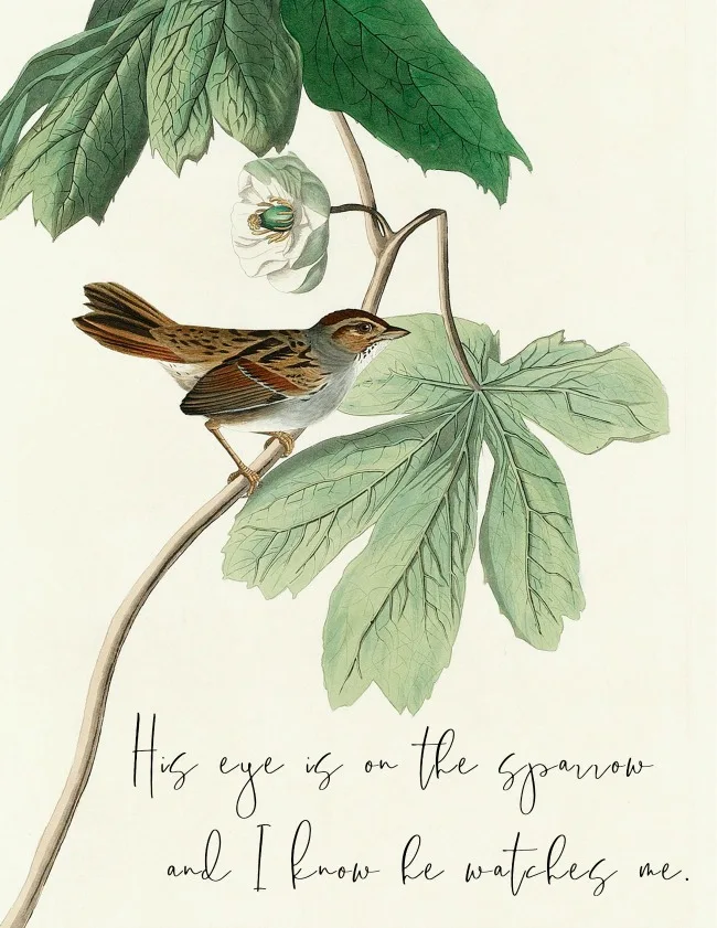 His Eye Is on the Sparrow - Wikipedia