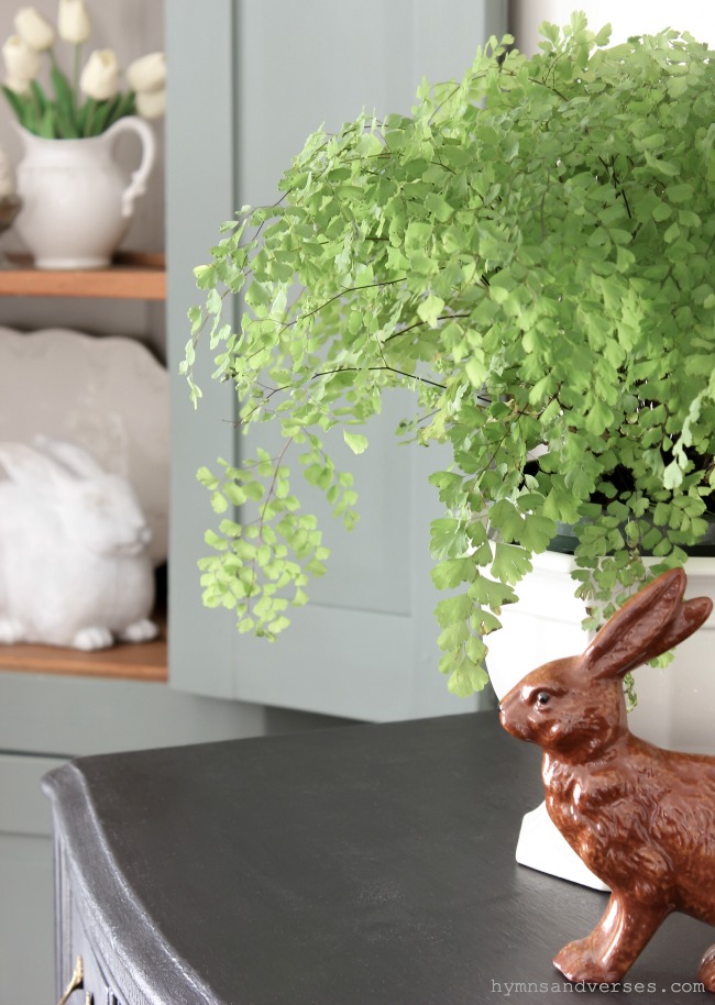 Maidenhair Fern and Redware Rabbit for Spring - Hymns and Verses