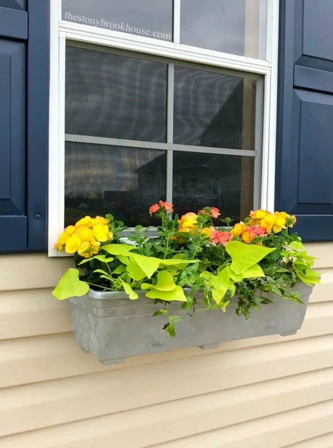 Paint Window Boxes - Home and Decor Encore
