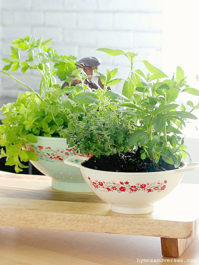 Kitchen Colander Planters - Hymns and Verses Blog