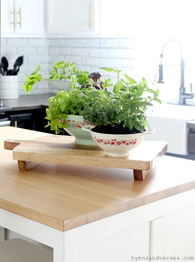 DIY Kitchen Colander Planters - Hymns and Verses Blog