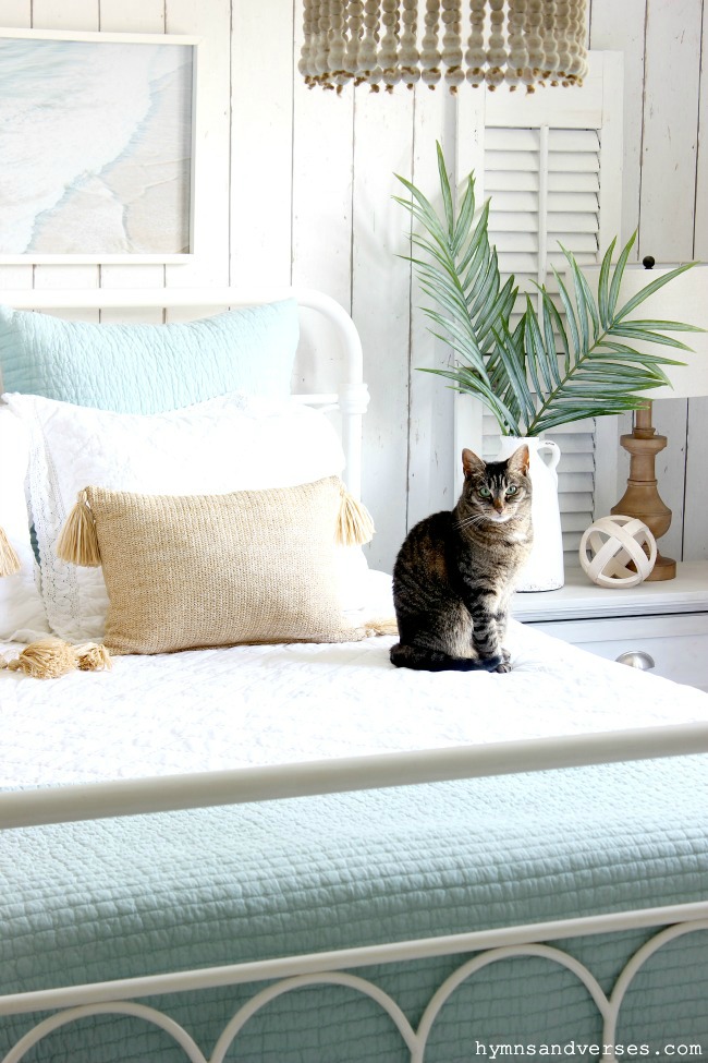 Aqua and White Bedroom with Cat - Hymns and Verses