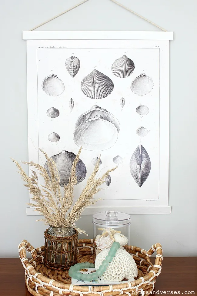 Vintage seashells hanging wall chart - Hymns and Verses Blog