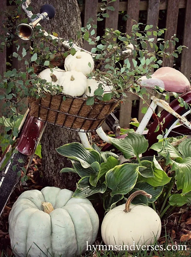 vintage bicycle in the fall landscape with basket of white pumpkins