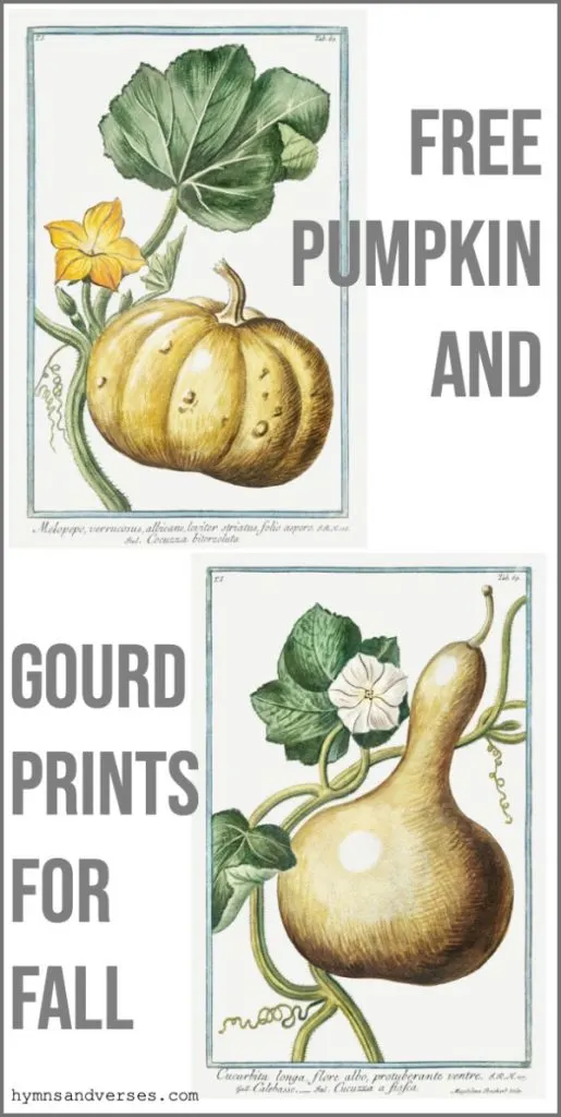 Free Pumpkin and Gourd Prints for Fall 