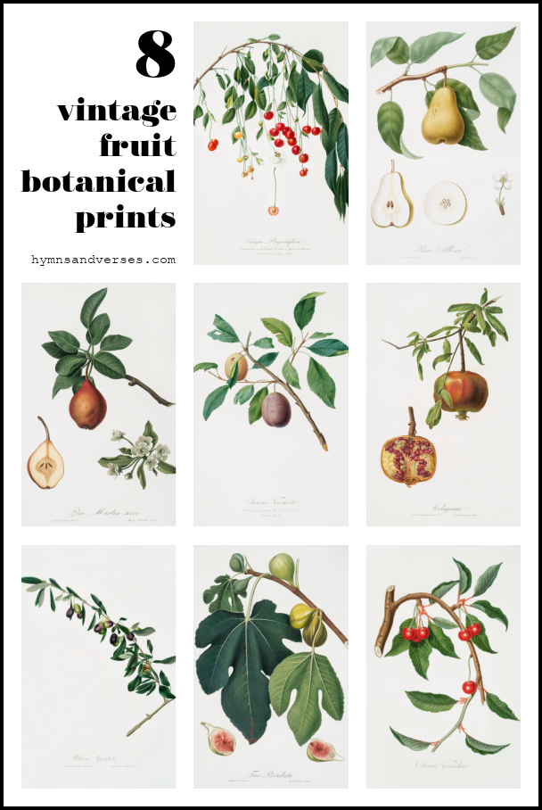 Botanical Fruit Collection Print