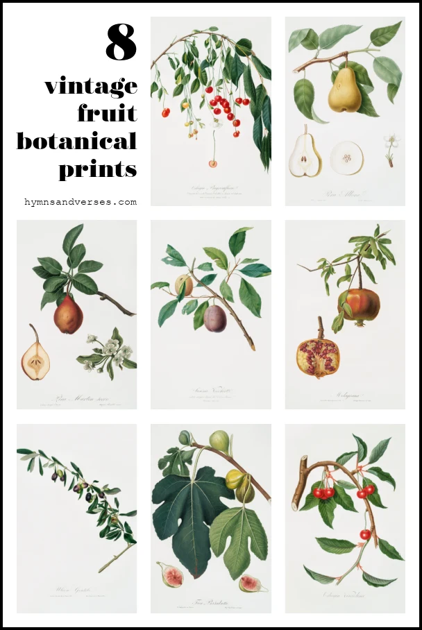 8 Vintage Fruit Botanical Prints