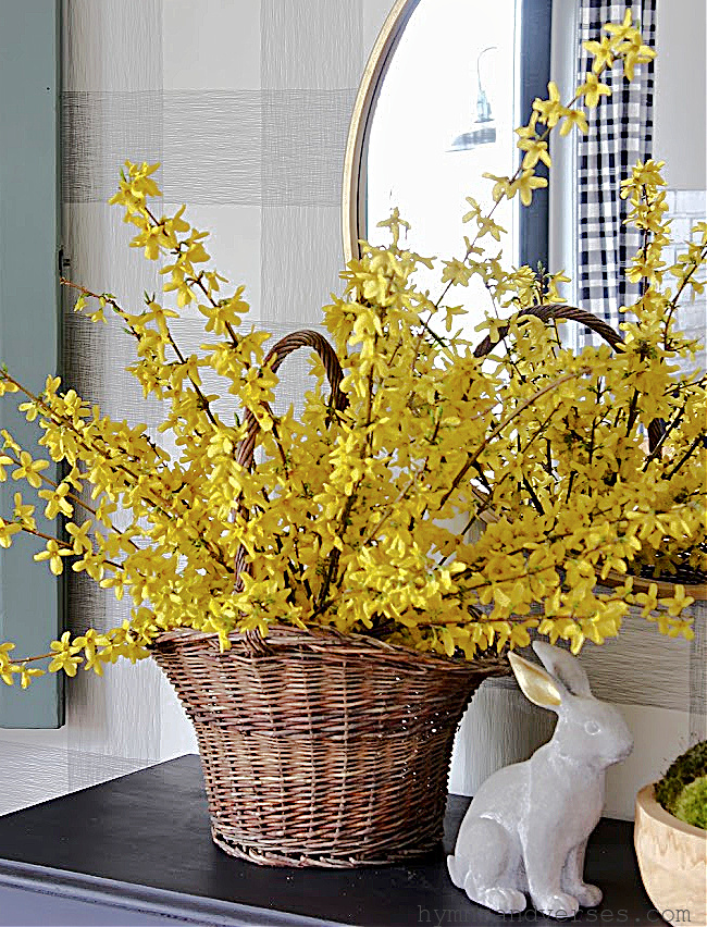 Forsythia Branches in a Vintage Basket