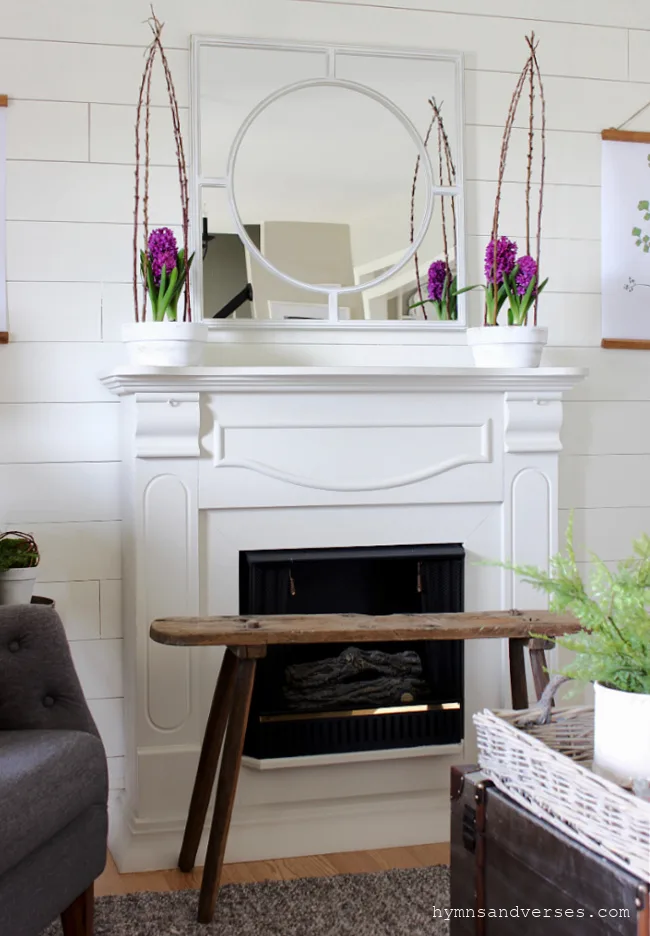 Spring Mantel with Hyacinth Topiaries