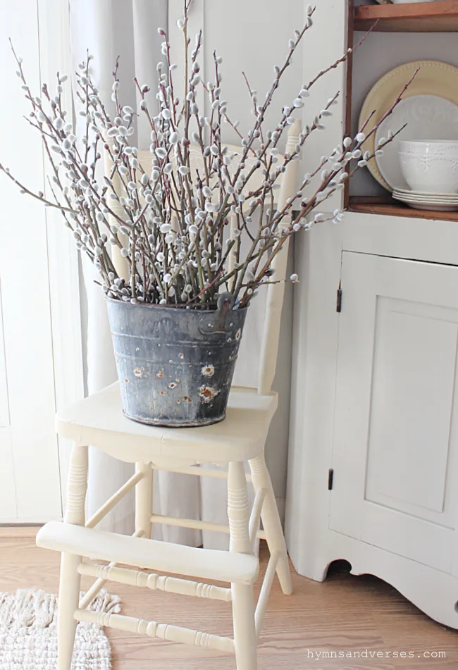 Vintage Tin Bucket with Willow Branches for Spring