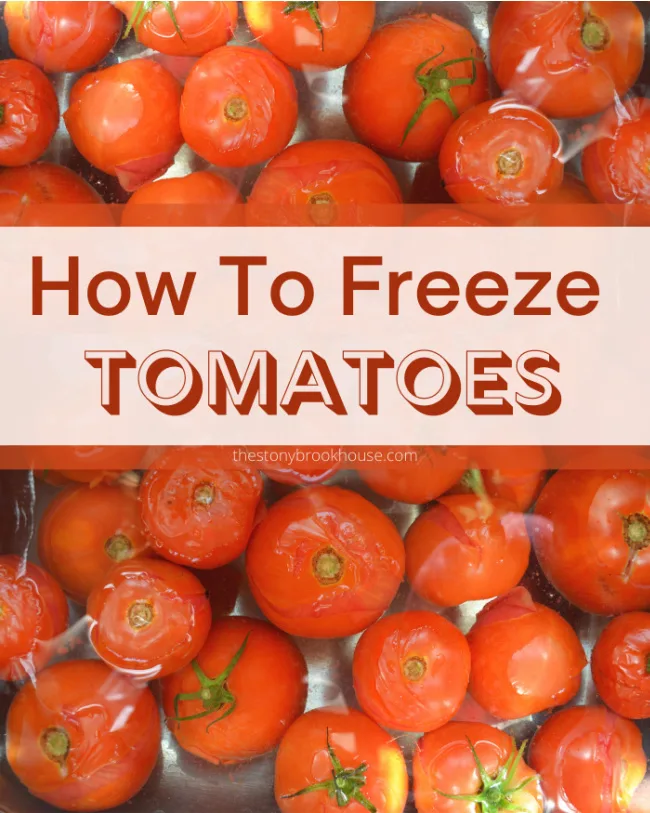 How to Freeze Tomatoes - The Stonybrook House