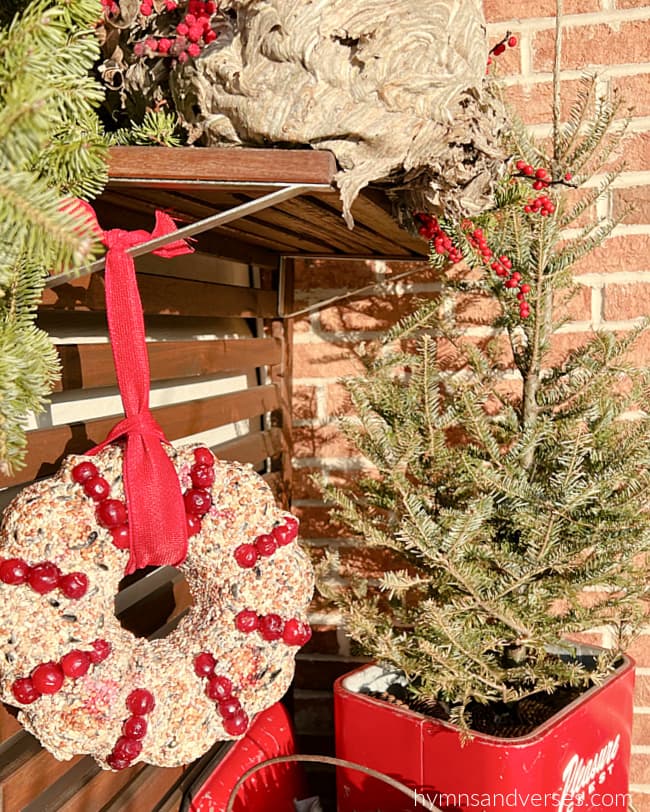 Bird seed wreath with cranberries hanging from outdoor bench on porch.