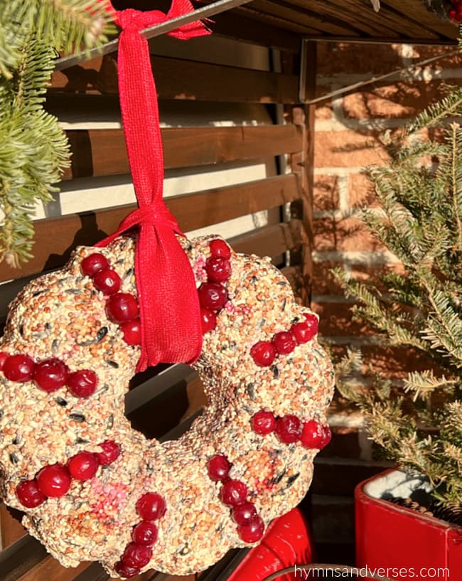 Bird seed wreath with cranberries hanging outdoors.