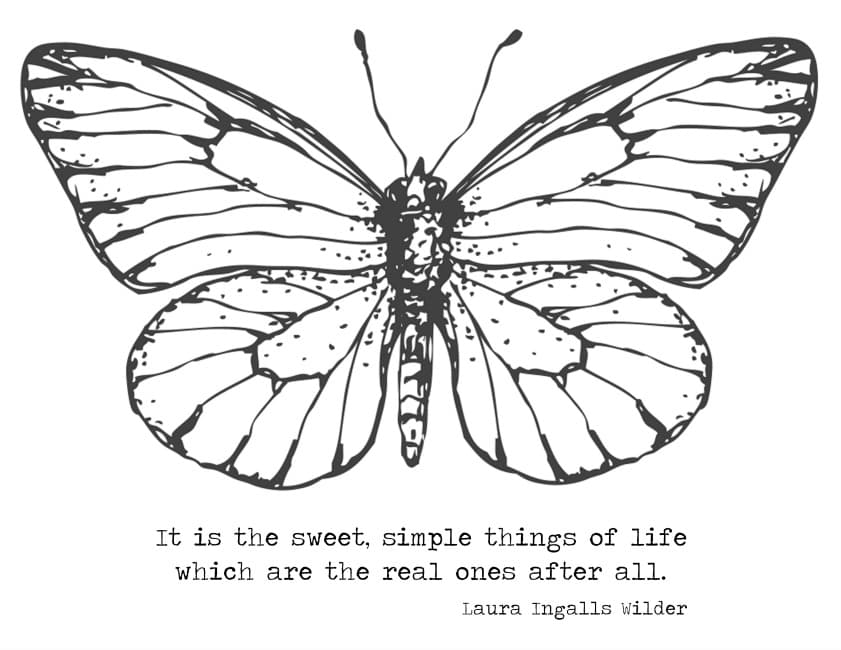Butterfly Coloring Page with quote "It is the sweet, simple things of life which are the real ones after all."  Laura Ingalls Wilder.
