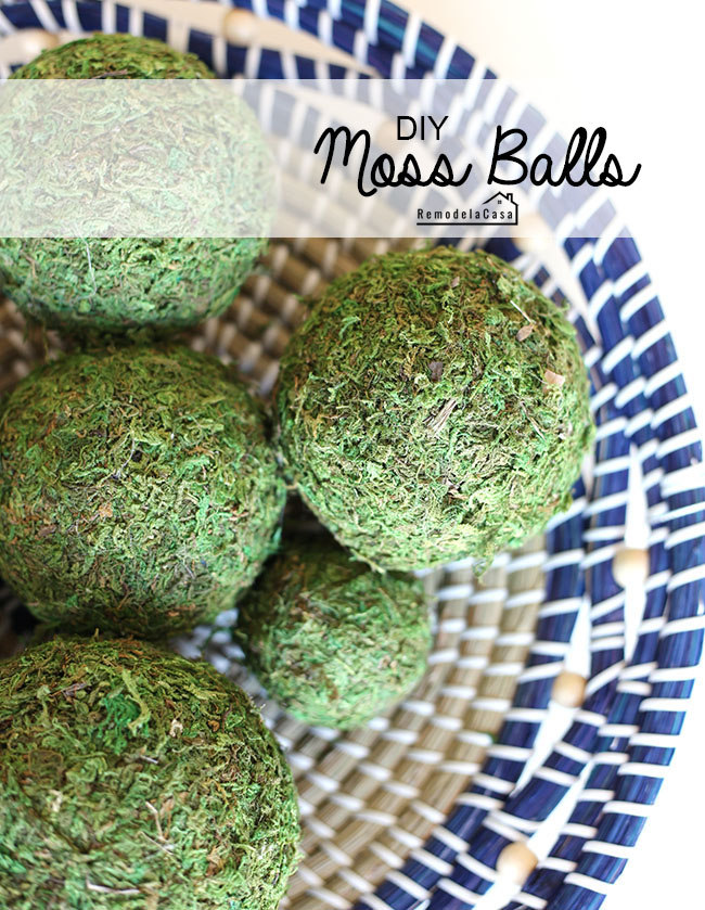 DIY Moss Balls from RemodelaCasa