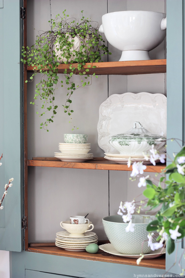 Angel Vine plant and dishes on shelves of a vintage corner cabinet